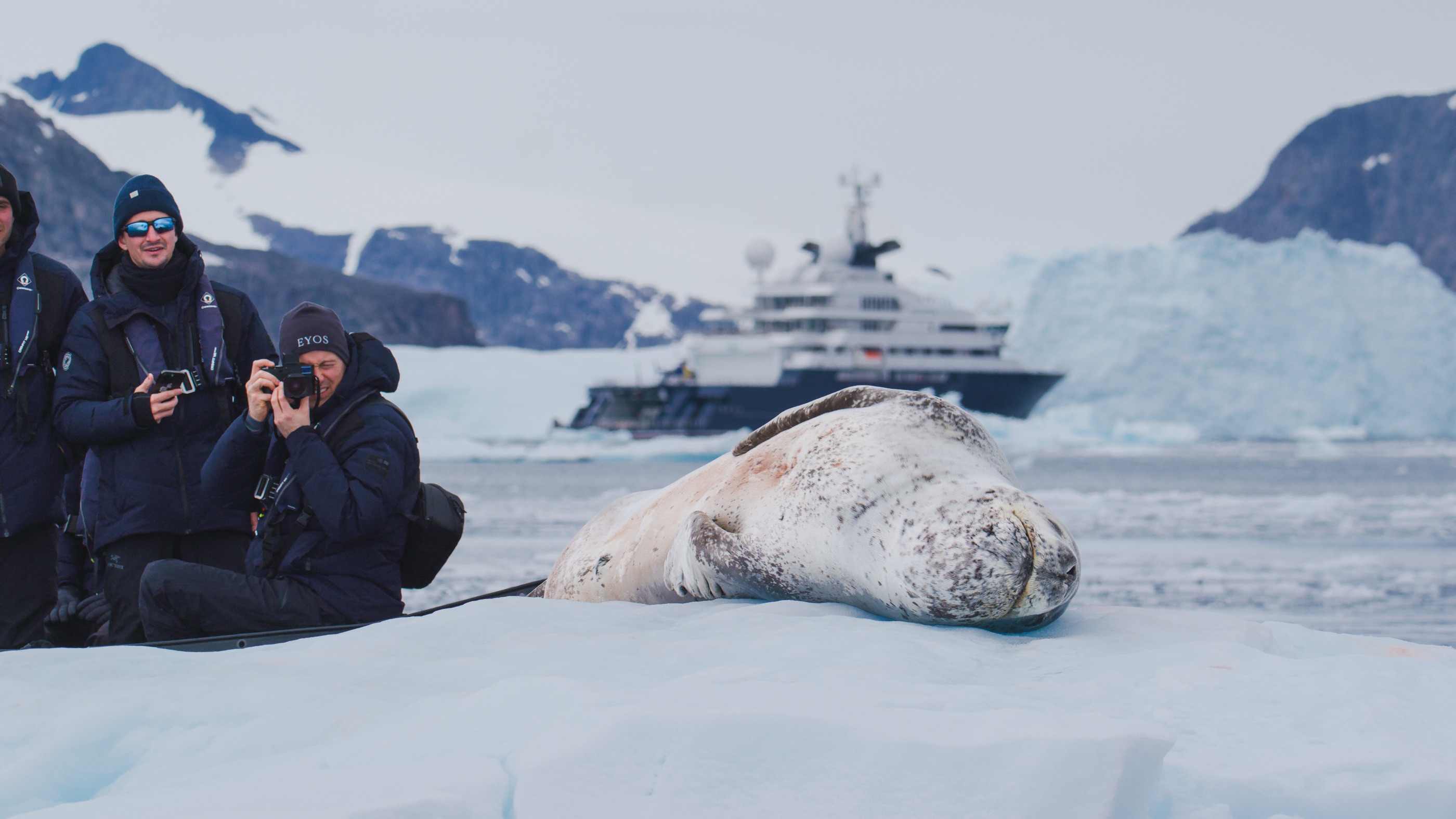 Guests photographing a leopard seal from a Zodiac, vessel behind